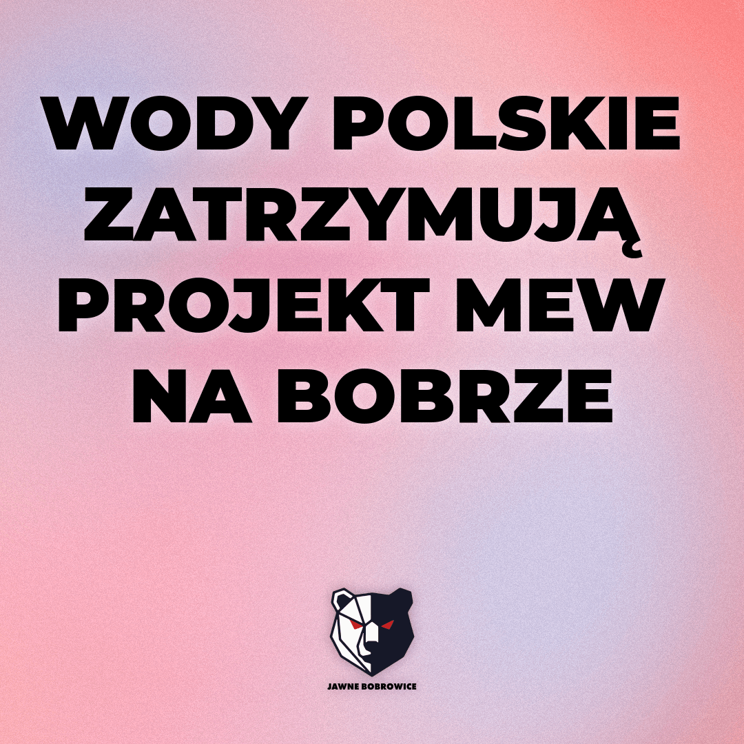 WODY POLSKIE ZATRZYMUJĄ PROJEKT MEW NA BOBRZE