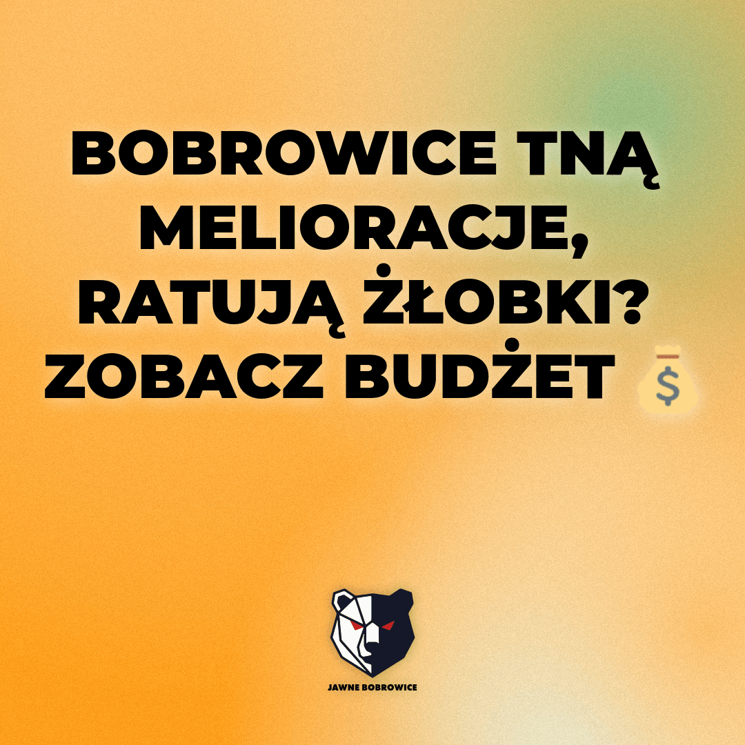 Bobrowice tną melioracje, ratują żłobki? Zobacz budżet 💰