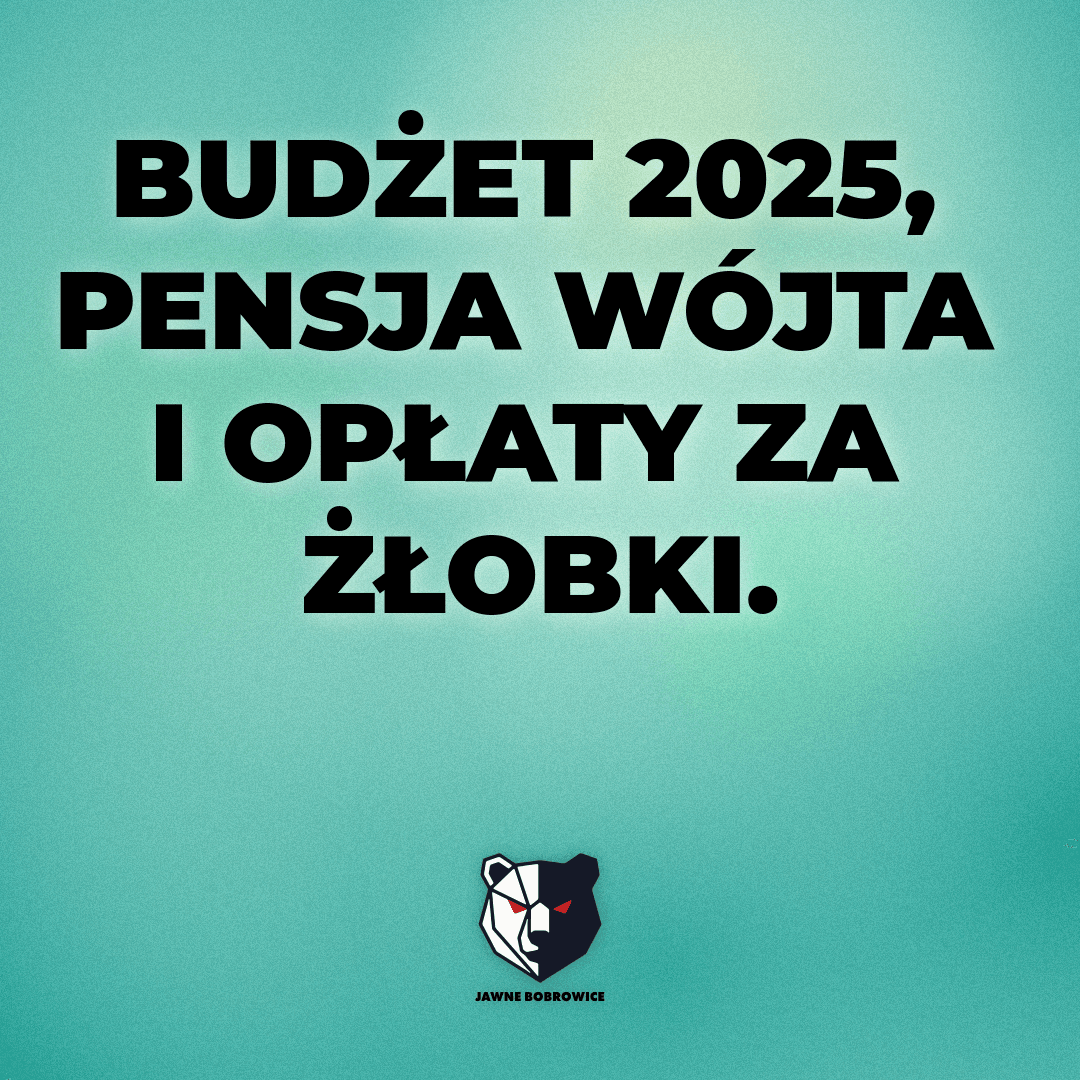 BUDŻET 2025, PENSJA WÓJTA I OPŁATY ZA ŻŁOBKI.